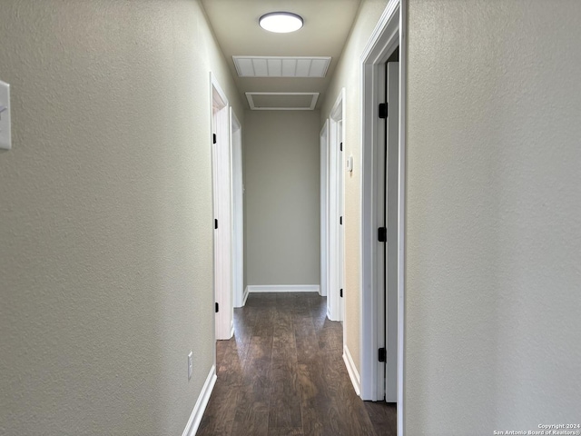 hall featuring dark hardwood / wood-style floors