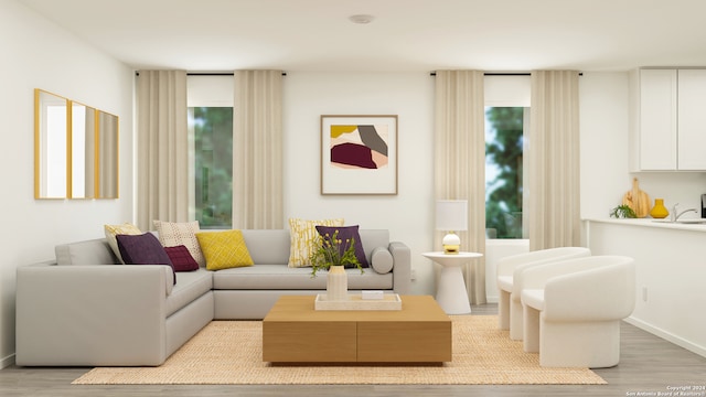 living room featuring light wood-type flooring and sink