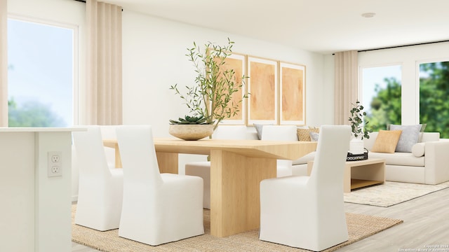 dining area with hardwood / wood-style floors