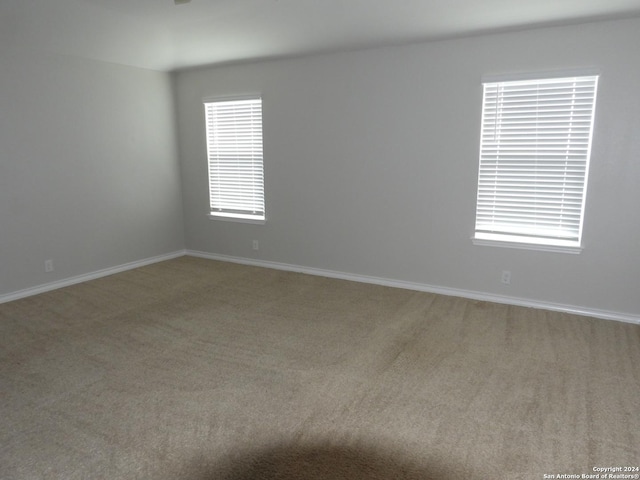 empty room with carpet flooring and a wealth of natural light