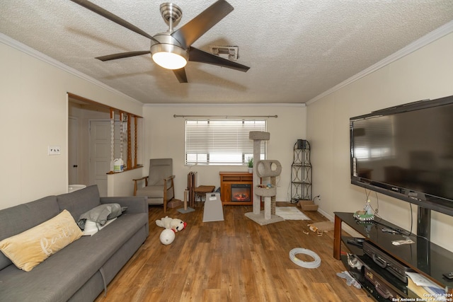 living room featuring wood-type flooring, a textured ceiling, and ornamental molding