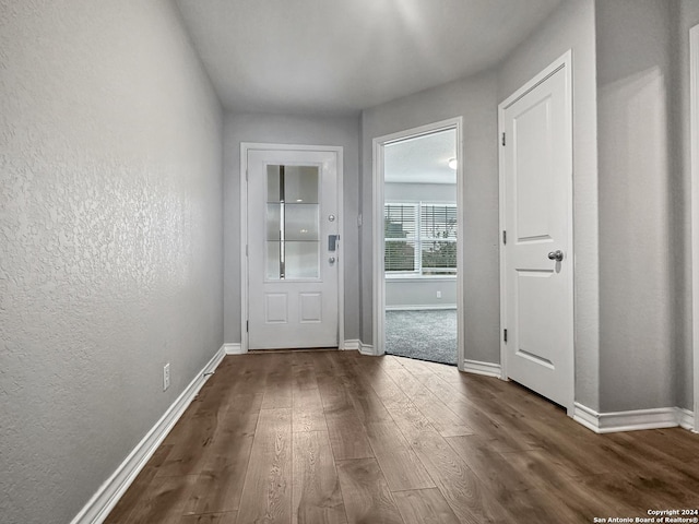 doorway featuring dark wood-type flooring