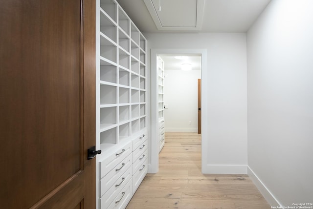 spacious closet featuring light hardwood / wood-style flooring