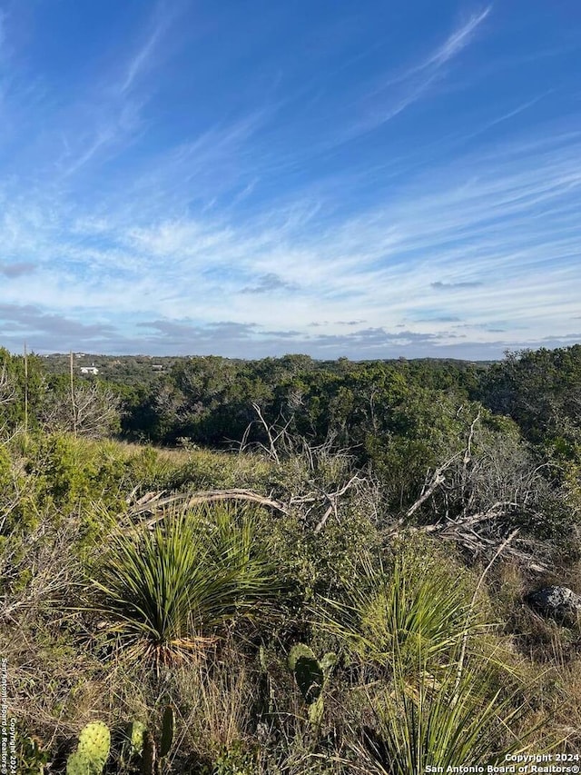 Listing photo 3 for 19 County Road 273, Mico TX 78056