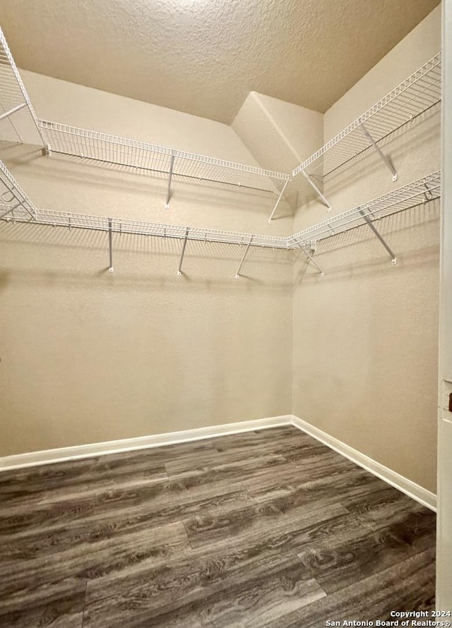 walk in closet featuring dark wood-type flooring