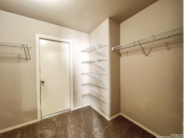 walk in closet featuring carpet