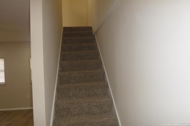 stairs with carpet