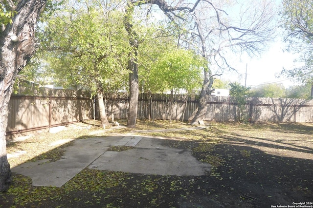 view of yard featuring a patio area