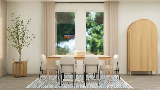 dining space with hardwood / wood-style floors