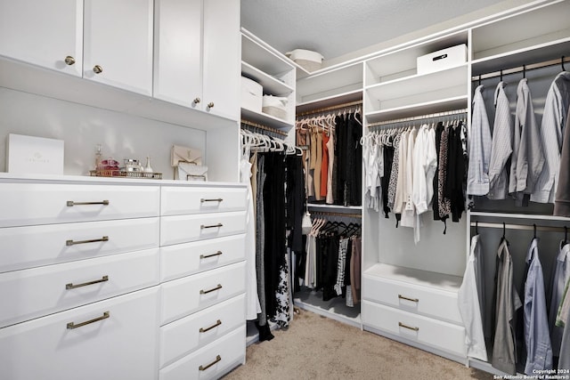 spacious closet featuring light colored carpet