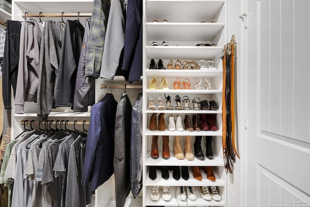 view of walk in closet