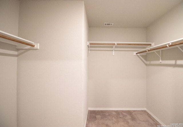 walk in closet with light colored carpet