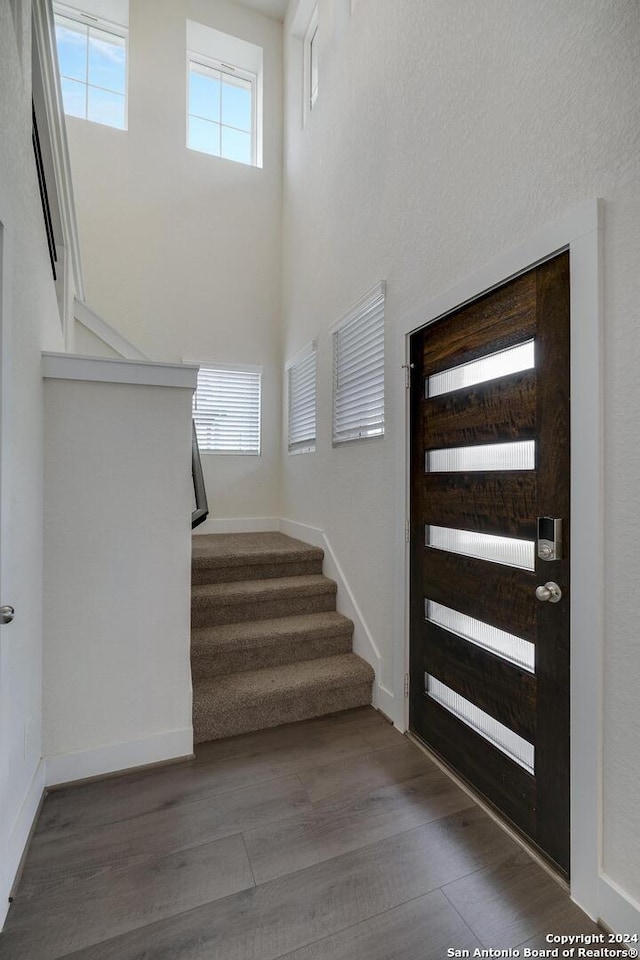 foyer entrance featuring wood-type flooring