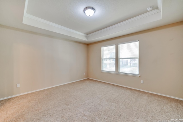 empty room with a raised ceiling, light carpet, and ornamental molding