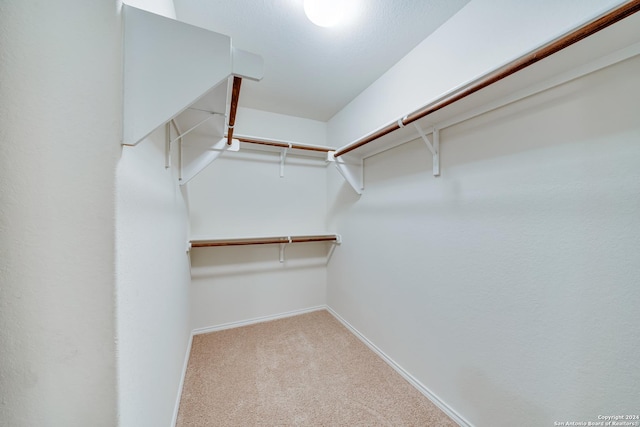 walk in closet featuring carpet floors