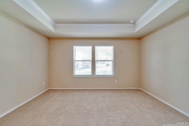 unfurnished room featuring a raised ceiling, light colored carpet, and ornamental molding