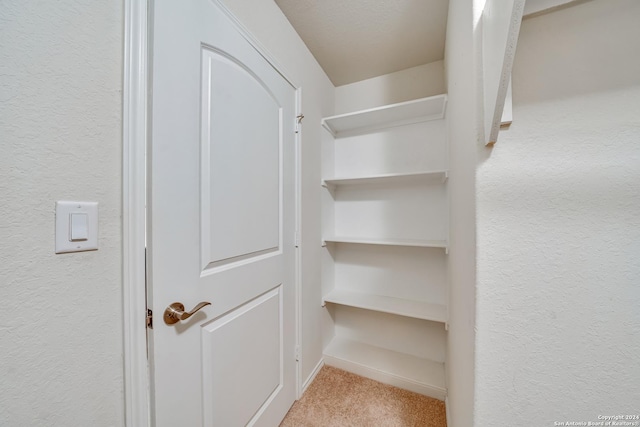 view of closet