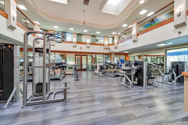 gym featuring a wealth of natural light, french doors, and a high ceiling