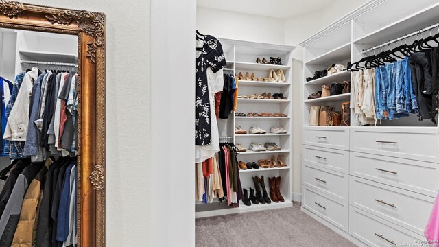 spacious closet featuring light carpet