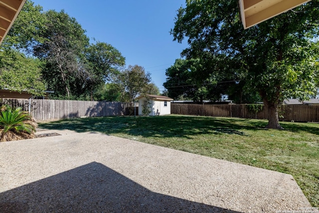 view of yard featuring a patio area and a shed