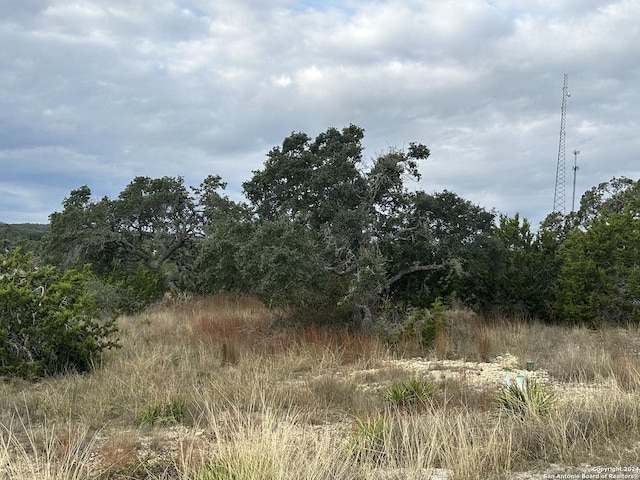 106 Thomas Frost, Blanco TX, 78606 land for sale