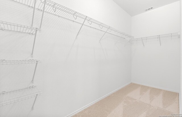 4076 Paddock Trl, Seguin, TX 78155 - walk in closet featuring carpet floors