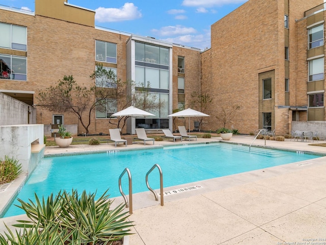 view of pool with a patio area