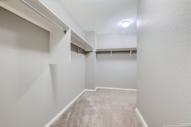 walk in closet with carpet flooring