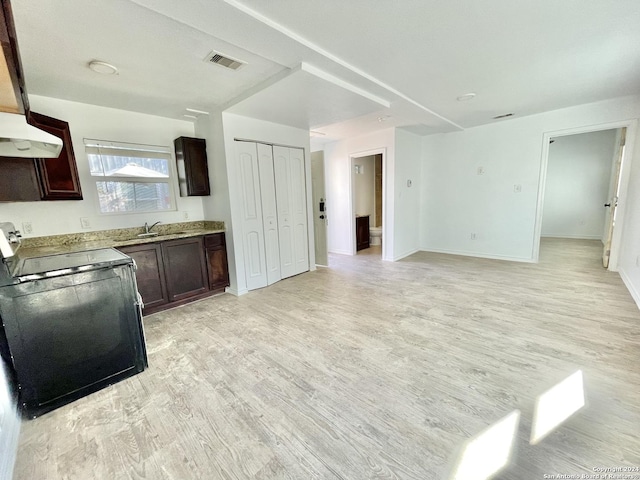 kitchen with electric range oven, dark brown cabinetry, light hardwood / wood-style floors, and sink