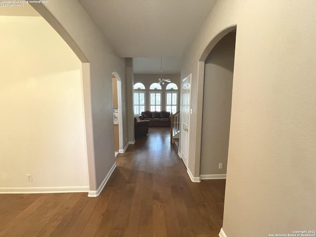 hallway with a chandelier and dark hardwood / wood-style flooring