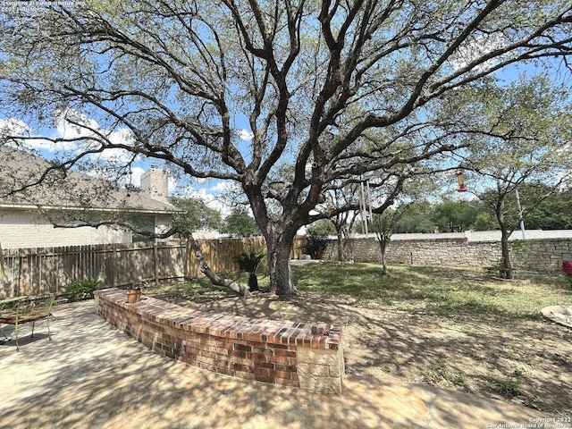 view of yard with a patio area