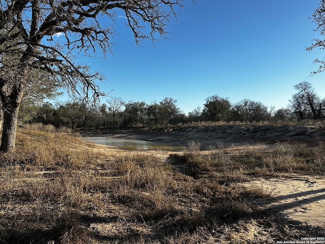 2731 County Road 770, Natalia TX, 78059 land for sale