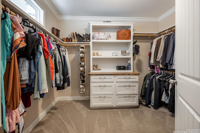 spacious closet featuring light colored carpet