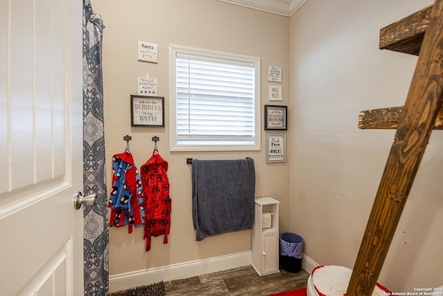 bathroom featuring hardwood / wood-style floors and ornamental molding