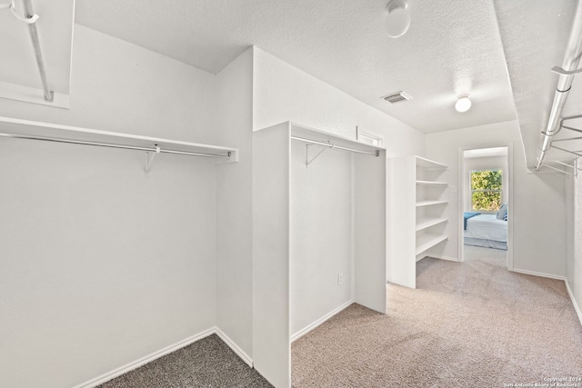 spacious closet featuring carpet flooring