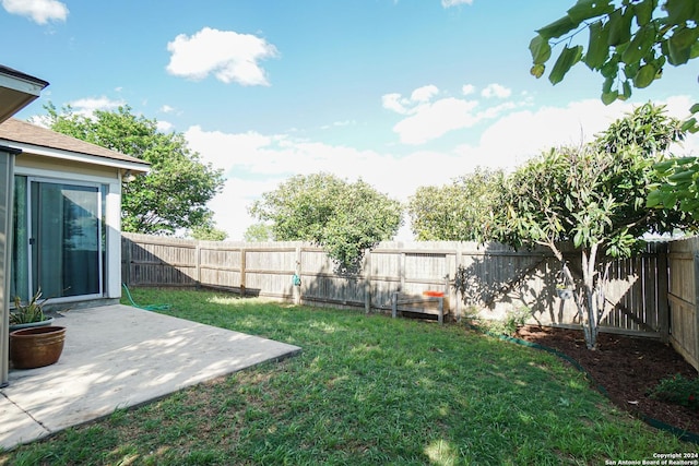 view of yard featuring a patio