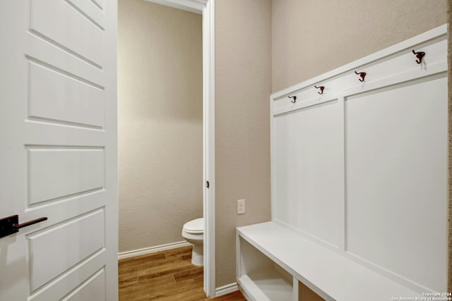 mudroom featuring light wood-type flooring