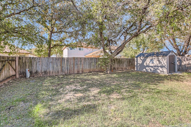 view of yard with a storage shed