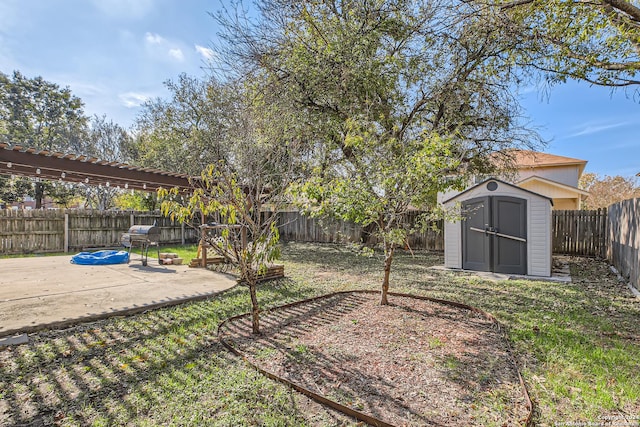 view of yard featuring a patio and a shed