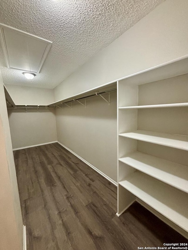 walk in closet with dark hardwood / wood-style floors