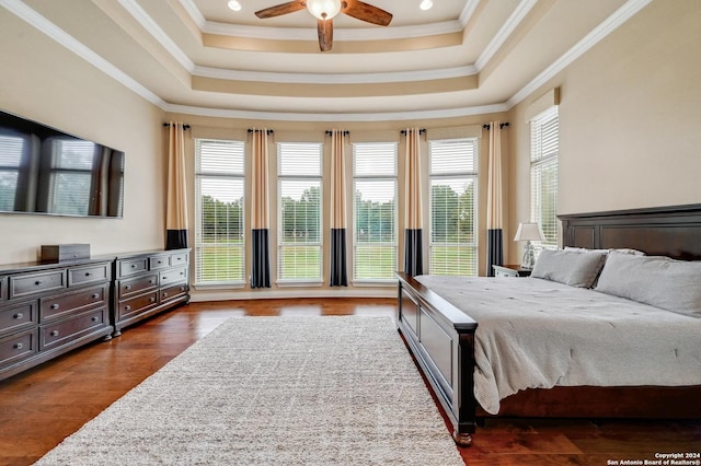 bedroom featuring a raised ceiling, ceiling fan, dark hardwood / wood-style flooring, and ornamental molding