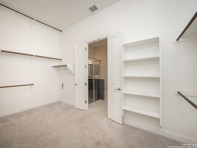 walk in closet with light carpet