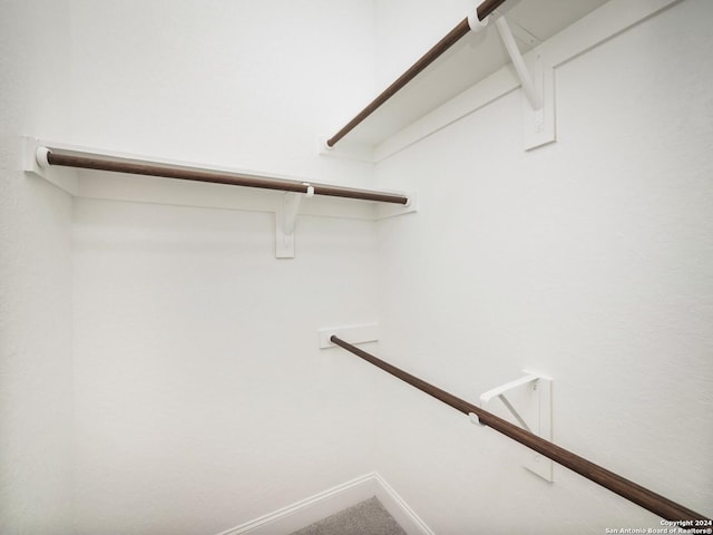 spacious closet featuring carpet flooring