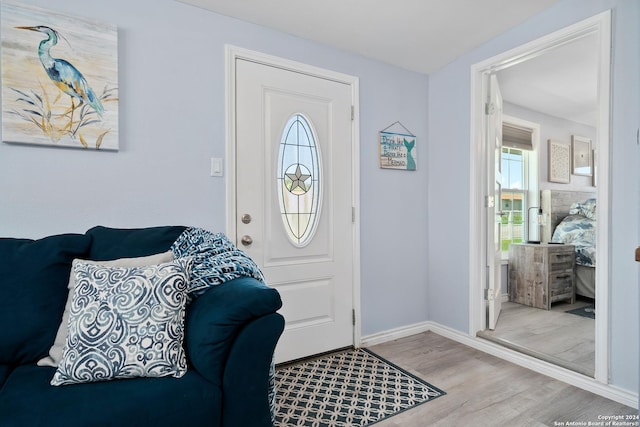 entrance foyer with light hardwood / wood-style flooring