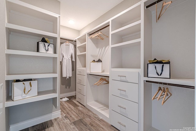 spacious closet with hardwood / wood-style floors