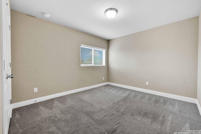 empty room featuring carpet