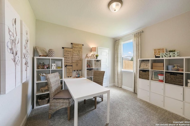 home office featuring light colored carpet