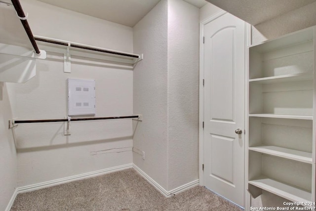 walk in closet with light carpet