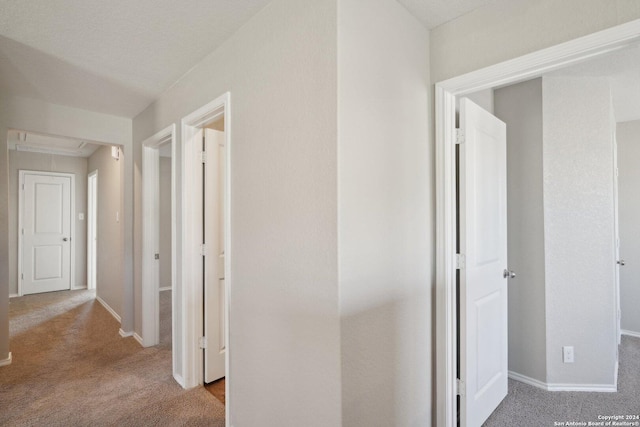 hallway with light colored carpet