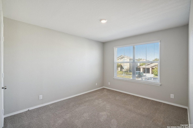 spare room with carpet floors